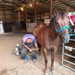 Profile Picture of Cody Chandler (@ccfarrier) on Instagram