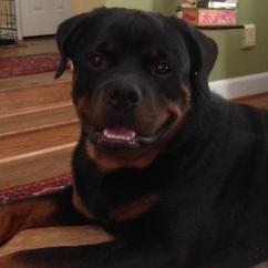 Steve Orenstein - Twitter Profile Picture of Steve Orenstein (@873_2900) on Twitter