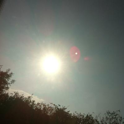 Profile Picture of Pauli (@PaulineWolf14) on Twitter