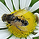 Profile Picture of Duncan Allen (@duncanallen78) on Flickr