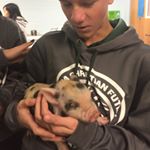 Profile Picture of Patrick Piper (@farmerboy_peppers) on Instagram
