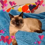 Profile Picture of Jan Łopuski (@Jan-Łopuski) on Facebook