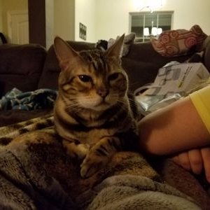 Profile Picture of John Surratt (@jpsurratt2005) on Twitter