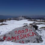 Profile Picture of Pile Pavić (@noelleonnoel) on Instagram