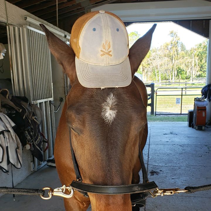 Profile Picture of Garrett Britt (@garrettbritt5) on Tiktok