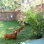 Profile Picture of Robert Petrie (@nativ74) on Youtube