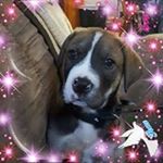 Profile Picture of Heather Ehman (@ehmanheather) on Instagram