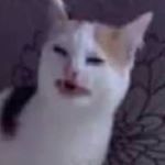 Profile Picture of Gilbert (@couchking__) on Instagram