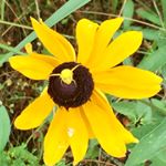 Profile Picture of Kim Ramer (@ramer.560) on Instagram