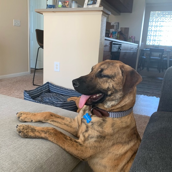 Profile Picture of Bailey Jackson (@b_jackson26) on Poshmark