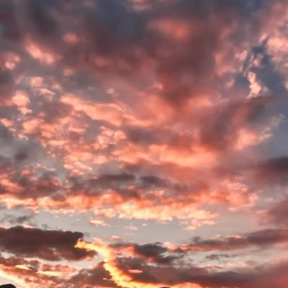 Profile Picture of Jason Aguilera (@jasonaguilera16) on Poshmark