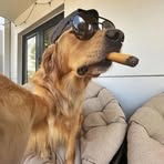 Profile Picture of Adam Plačko (@Adam-Plačko) on Facebook