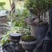 Profile Picture of Lejardindelilie Blochas (@josephineblocha) on Pinterest