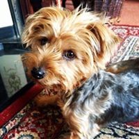 Profile Picture of Marian Larkin (@marian-larkin-1) on Quora