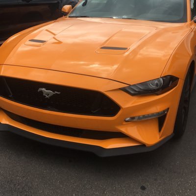 Profile Picture of Riley Wilson (@wiley_rilson) on Twitter