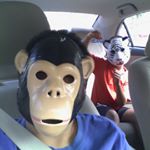 Profile Picture of nelsonthehamma (@nelsonthehamma) on Instagram