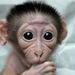 Profile Picture of Sergio Barron (@sergiob3198) on Pinterest