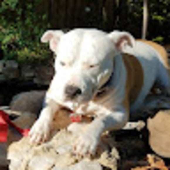 Profile Picture of Donny Orick (@dorick80) on Poshmark