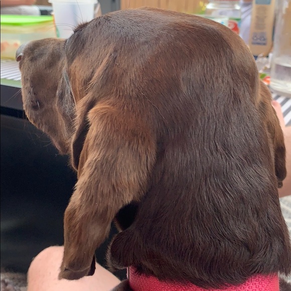 Profile Picture of Matthew Cochran (@mattcochran817) on Poshmark