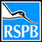 Profile Picture of Michael Dennis (@rspb volunteering coordinator) on Flickr