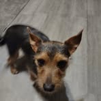 Profile Picture of Rhonda Shafer (@rhonda.shafer.750329) on Facebook