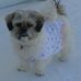 Profile Picture of Wanda Hoban (@wanda.hoban.9) on Facebook