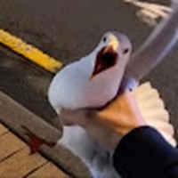 Profile Picture of James Chesshire (@james-chesshire) on Quora