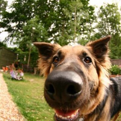 Profile Picture of Clare Sedgwick (@ClareNSedgwick) on Twitter