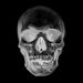 Profile Picture of David Witko (@davidwitko) on Pinterest