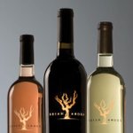 Brian Arden - Instagram Profile Picture of Brian Arden (@b_arden1986) on Instagram