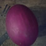 Profile Picture of Clarck Venum (@clarck.venum) on Facebook