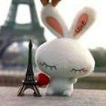 Profile Picture of Amal Atallah (@amalatallah95) on Instagram