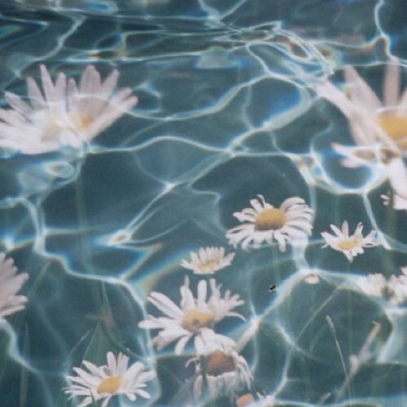 Profile Picture of Libny Agosto (@libny_august) on Poshmark