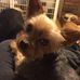 Profile Picture of Mary GushleffDeLaney (@Mary-Gushleff-DeLaney) on Facebook
