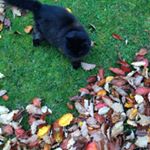 Fiona Stevenson - Instagram Profile Picture of Fiona Stevenson (@stevenson.fiona) on Instagram