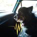 Profile Picture of Ray Fryberger (@ray.fryberger.7) on Facebook