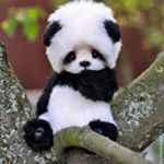 Profile Picture of Patrick Hagelund Liheim (@patrickhl05) on Instagram