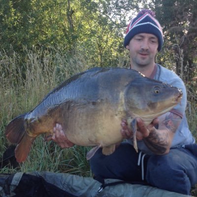 Profile Picture of Stuart Bradshaw (@stubiedooo) on Twitter