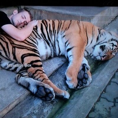 Profile Picture of Alex Wellen (@alex_wellen) on Twitter