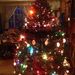 Profile Picture of Paul Wetherbee (@paulw3058) on Pinterest