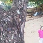 Profile Picture of Jeff Monroe (@jeff.monroe.165) on Instagram