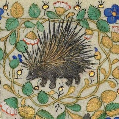 Profile Picture of Robin Gillespie (@gillespie_robin) on Twitter