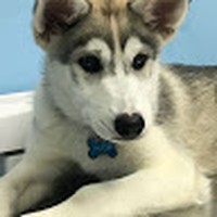 Profile Picture of Alec Chan (@alec-chan-21) on Quora