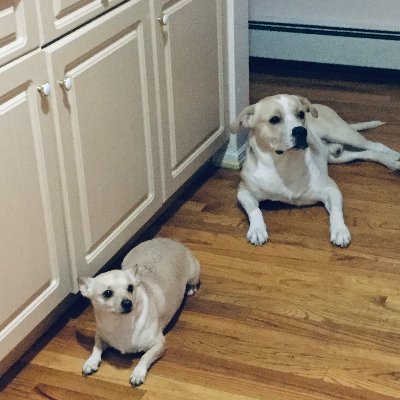 Profile Picture of Keith Purnell (@Keithpurnell6) on Twitter