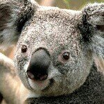 Profile Picture of adrian dooley (@adrian_d6) on Instagram