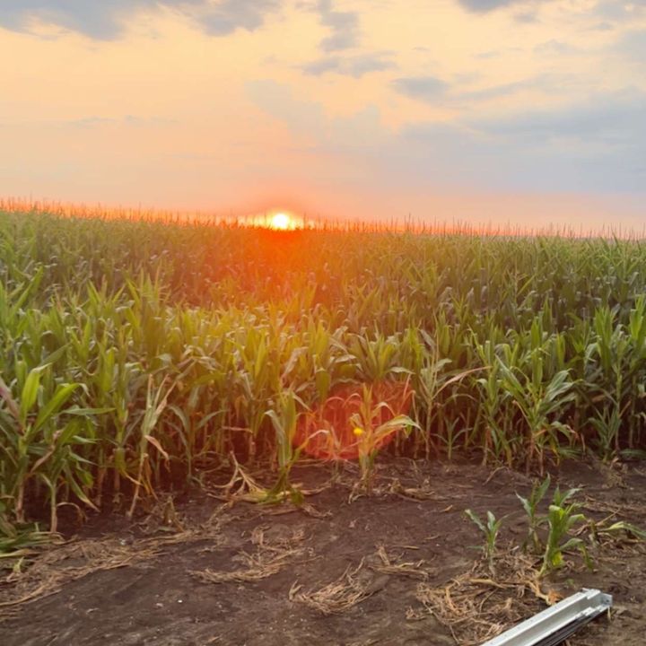 Profile Picture of Andru Keplinger (@andrukeplinger11) on Tiktok