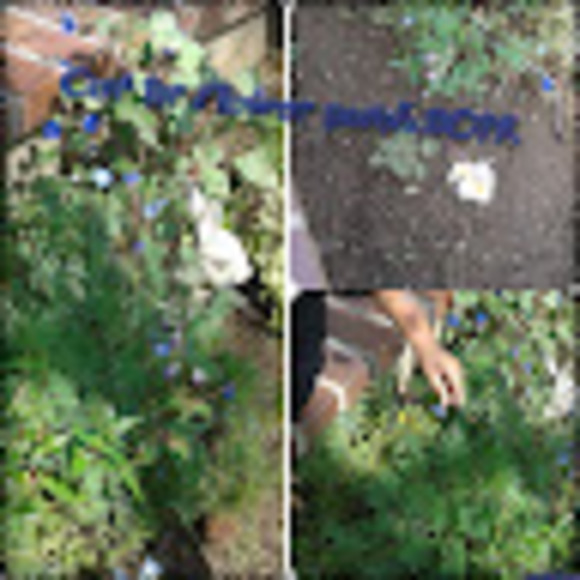 Profile Picture of Janet Speranza (@janetsperanza) on Poshmark