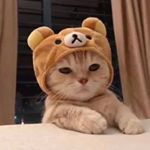 Profile Picture of Barbara (@bittersweet_010) on Instagram
