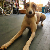 Profile Picture of Alex Wirth (@alexwirth6593) on Youtube