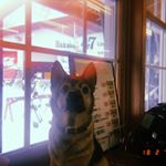 Lucas.ottaway🍪 - Instagram Profile Picture of Lucas.ottaway🍪 (@lucas.ottaway) on Instagram